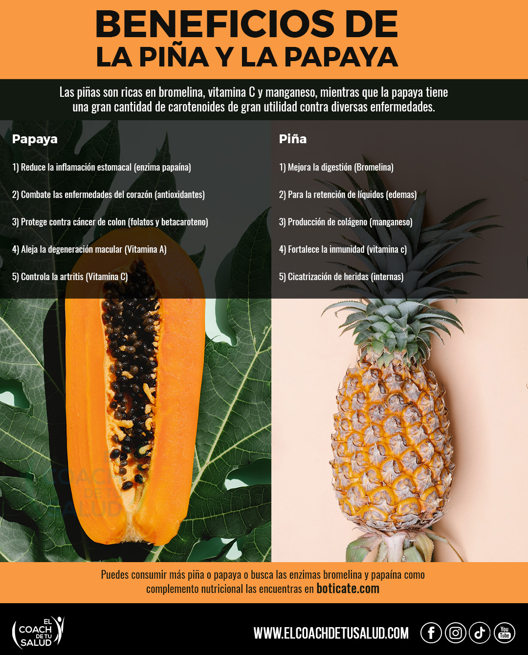 Así te beneficia la papaya y la piña en tu salud – El Coach de tu Salud
