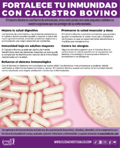 Cómo fortalecer el sistema inmunológico – El Coach de tu Salud