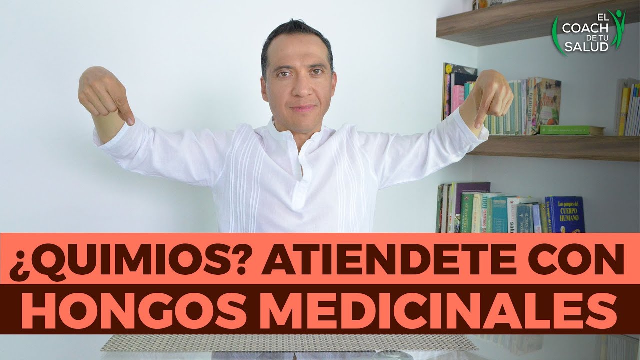 Maitake “rey de los hongos medicinales” contra el cáncer El Coach de